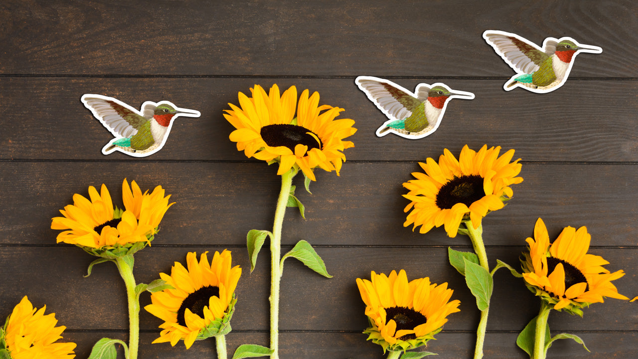 Hummingbird stickers over row of sunflowers