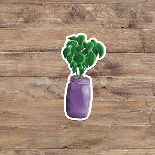 Kratky Hydroponics Mason Jar with Plant Sticker