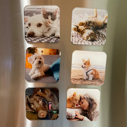 Photo Magnet, Set of 10 Custom Photos Printed on Acrylic